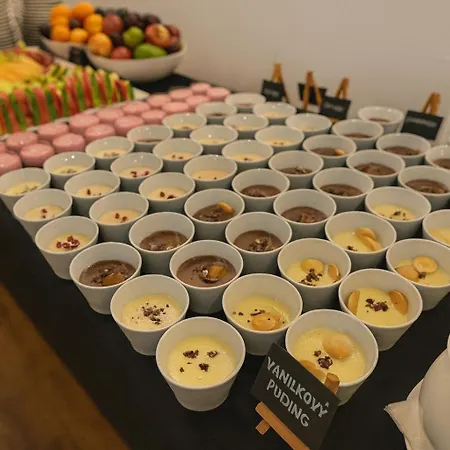 فندق براتيسلافا 4*