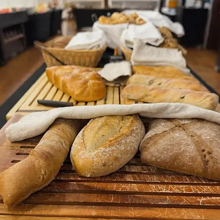 호텔 브라티슬라바 4*