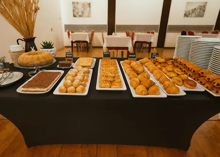 布拉迪斯拉发酒店 酒店 布拉迪斯拉发