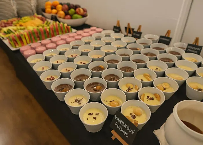 酒店 布拉迪斯拉发酒店 4*